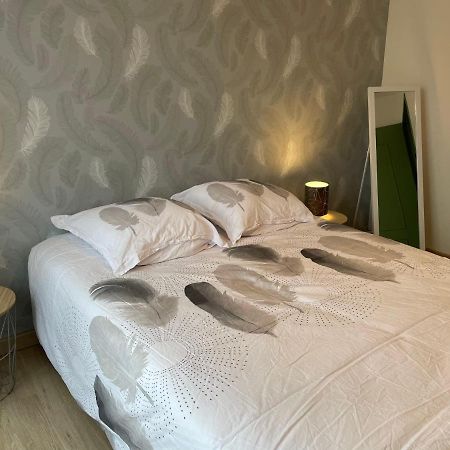 Appartement Du Grand Parc Шатору Екстер'єр фото