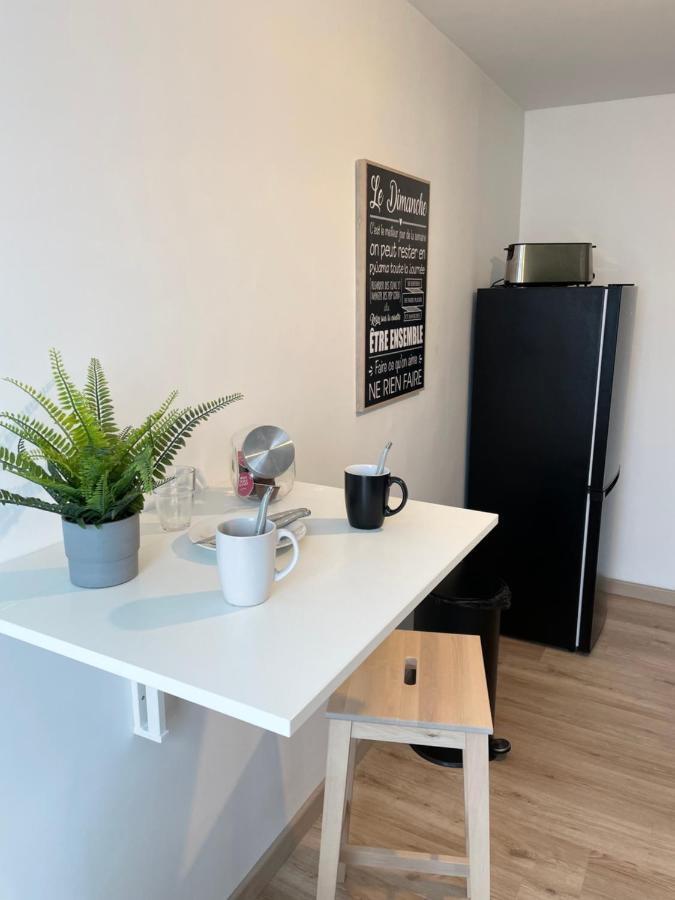 Appartement Du Grand Parc Шатору Екстер'єр фото