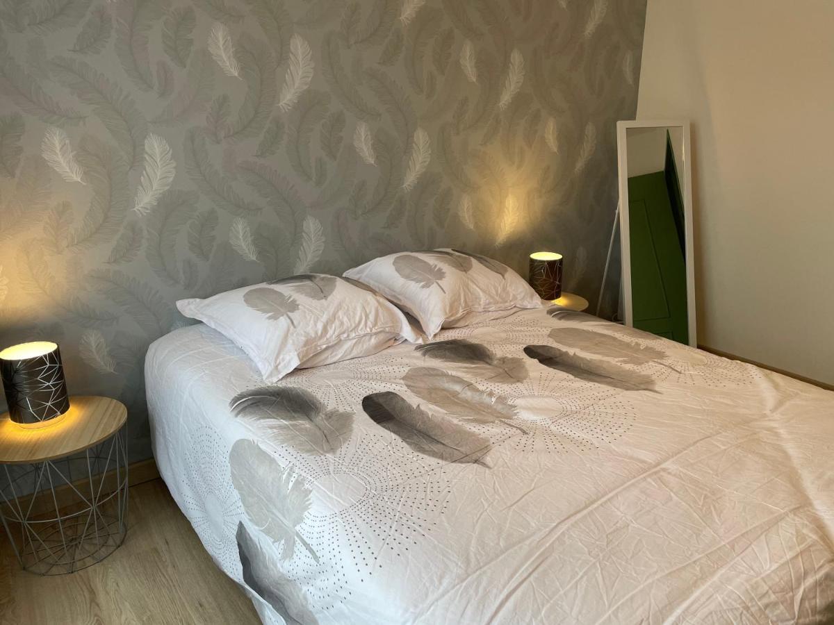 Appartement Du Grand Parc Шатору Екстер'єр фото