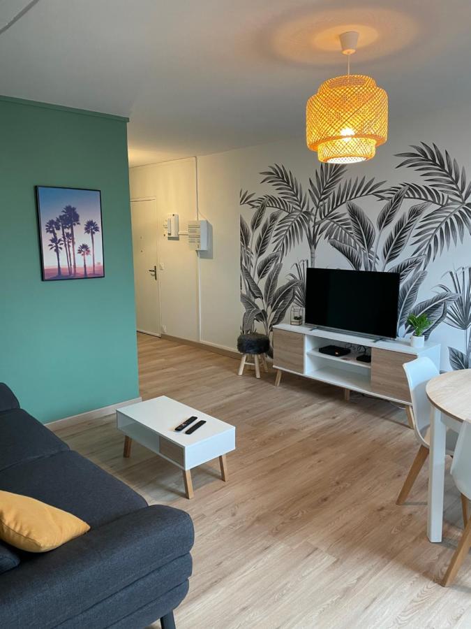 Appartement Du Grand Parc Шатору Екстер'єр фото